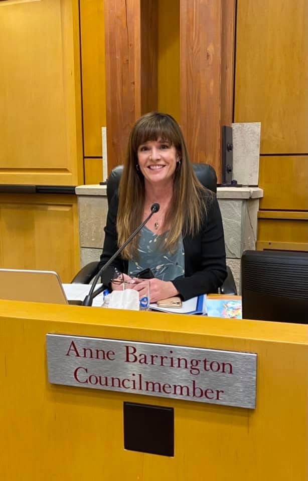 Anne Barrington at a council meeting
